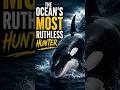 The Ocean’s Most Ruthless Hunter