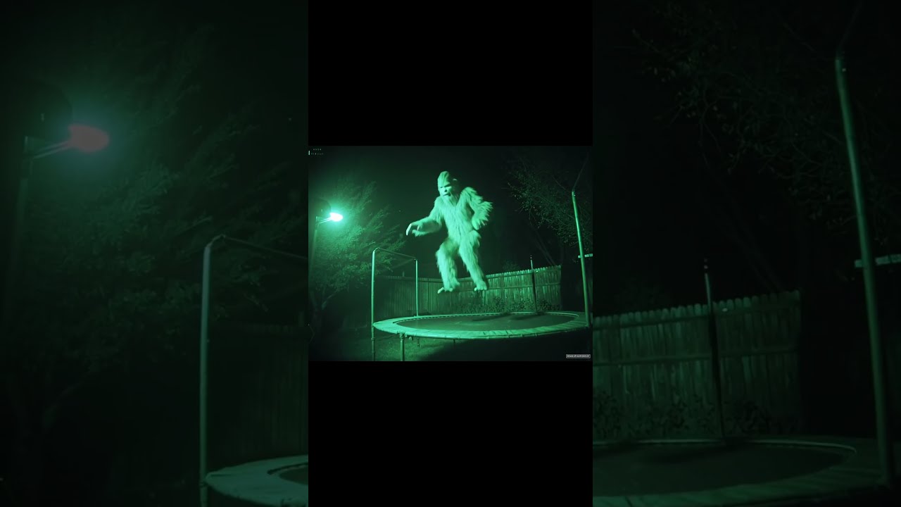 Hawaiian Bigfoot Caught On Camera Jumping A Trampoline MAUI HAWAII