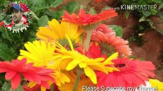 Mon khepa khuje fere/মন ক্ষ্যাপা খুঁজে ফেরে