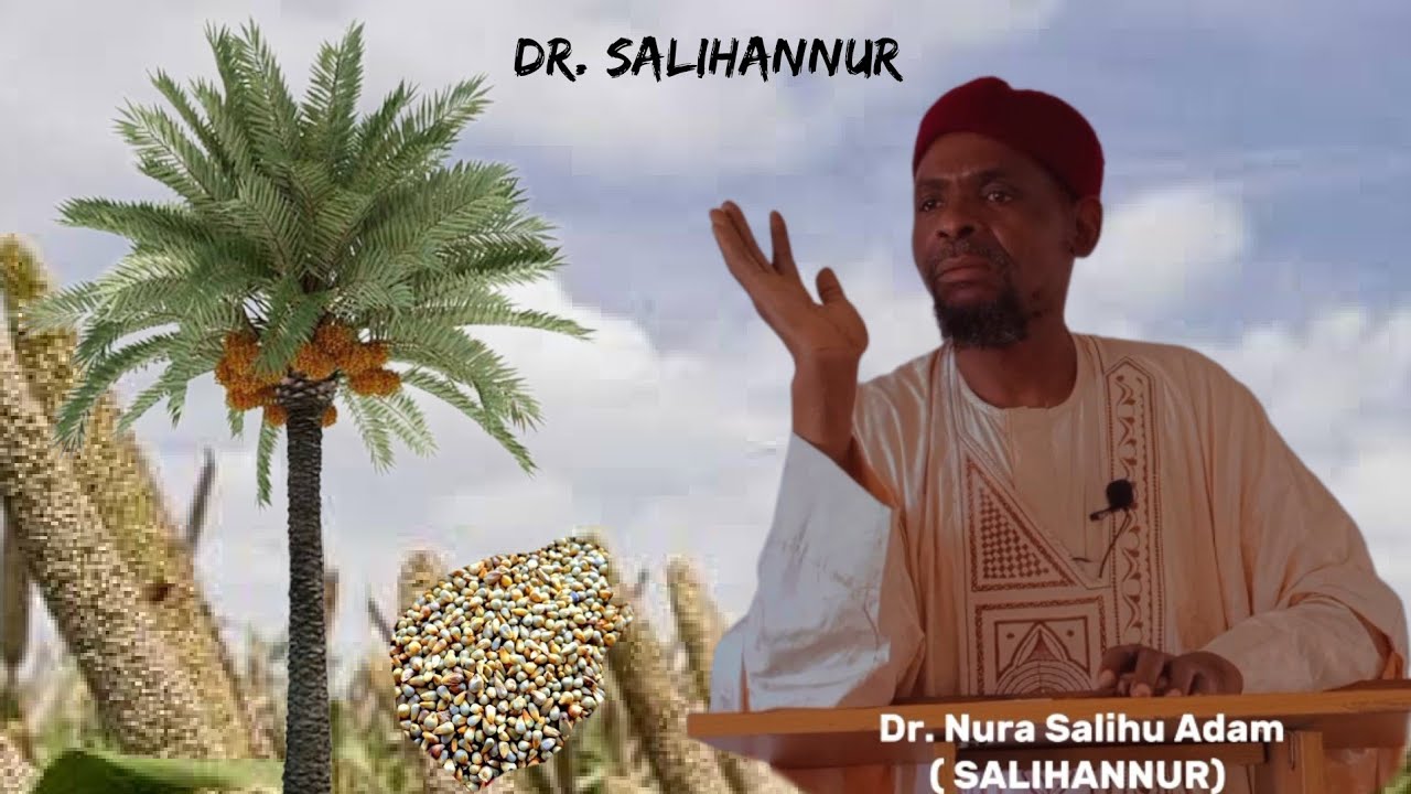 Dr. Salihannur) Amfanin Gero Da Ganyan Ajuwa Dayadda Ake Sarrafasu