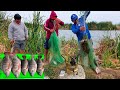 pesca y cocina de PECES DE COLA ROJA - pescando tilapias