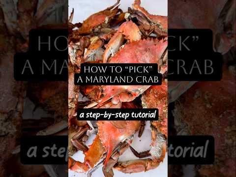 1 Minute Masterclass — How to Eat a Maryland Crab — Ocean City, Maryland 1 Minute Masterclass — How to Eat a Maryland Crab — Ocean City, Maryland