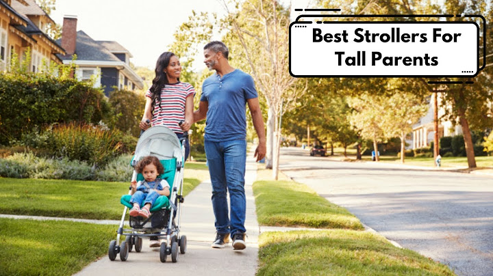 Best strollers for tall parents reviews năm 2024