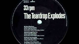 The Teardrop Explodes   Ouch Monkeys chords