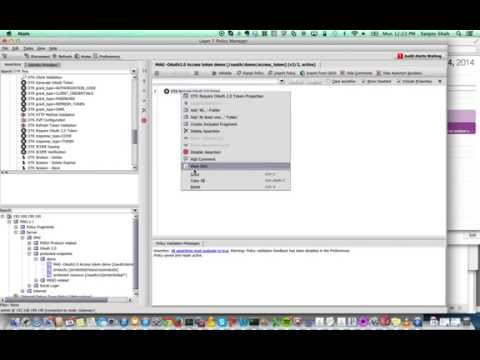 How to protect api with OAuth 2.0 access token in Layer7 Mobile Access Gateway(MAG)