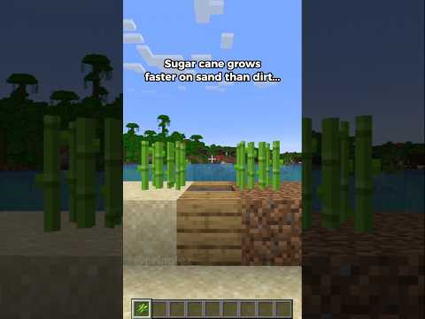 Minecraft myth busting