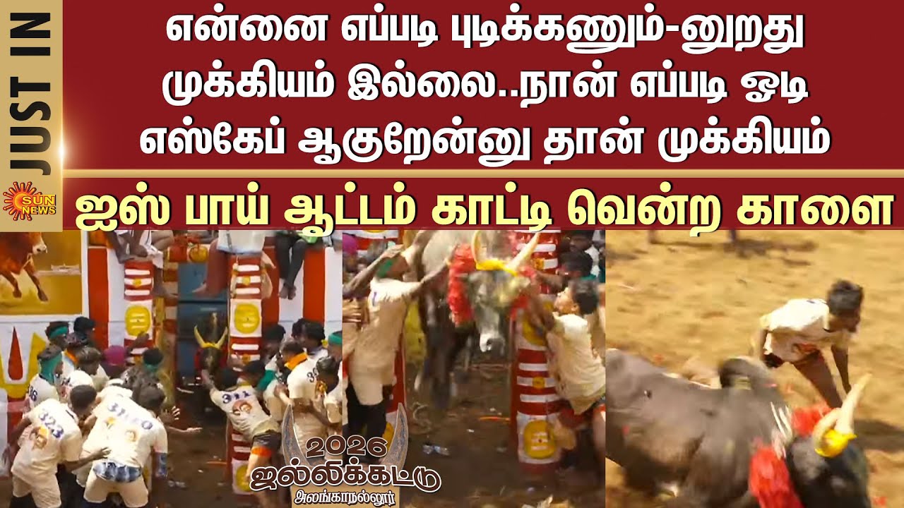 Alanganallur Jallikattu -2026 | Bull | Super Idea | Win | Players | Struggle | CM MK Stalin |Madurai