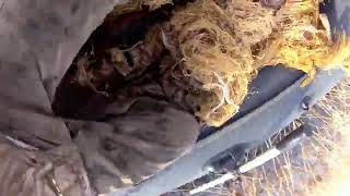 видео: Октябрьский выезд на Северную утку картинка: Октябрьский выезд на Северную утку