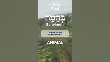 75 Biblical Hebrew Words and Scripture | Beheimah | Learn Hebrew Online #hebrew #bible #bibleverse