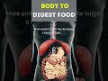 How Long Food Actually Stays in Your Stomach #science #shorts