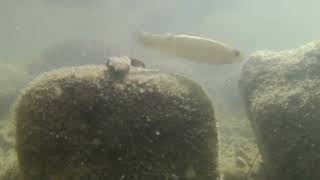 Kayaking Adventures - 8