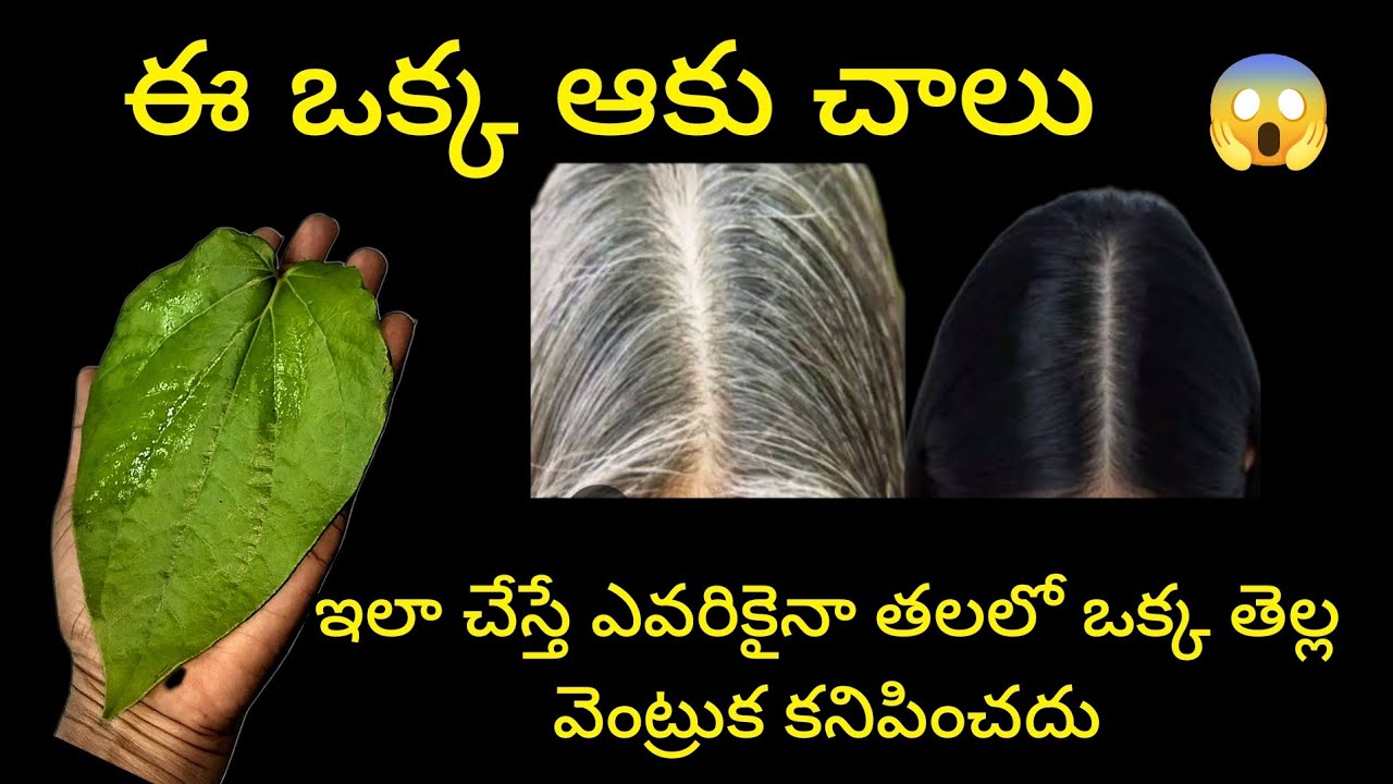😱 ఇలా చేస్తే మీ తలలో ఒక్క తెల్ల వెంట్రుక కైనా కనిపించదు! || Betel Leaf Hair Mask@SiriChannel2013