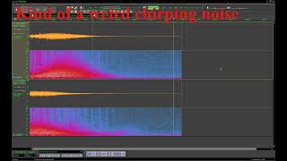Audio in Audacity from some makes a weird noise when other audio editors don't