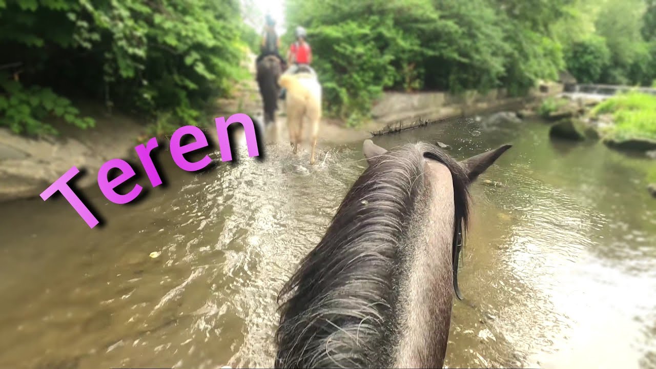 Jazda Konna 30.07.2022r. | Akademia Jeździecka BCH | Teren |