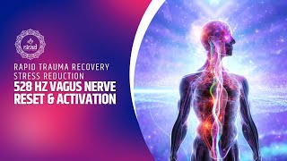 528 Hz Vagus Nerve Reset & Activation - Rapid Trauma Recovery Stress Reduction - Music Therapy