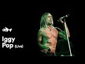 Iggy Pop | Live at Sydney Opera House