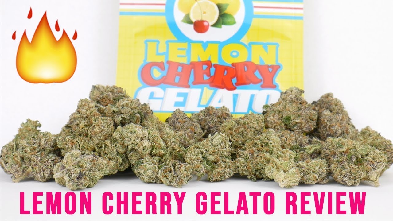 Lemon Cherry Gelato Strain Review Youtube