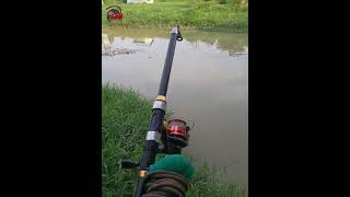 lagi asik mancing banjir bandang datang #shorts