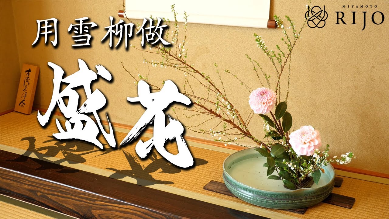 【日式插花教学】用雪柳做出优美的线条 雪柳插花之盛花做法 宫本理城
