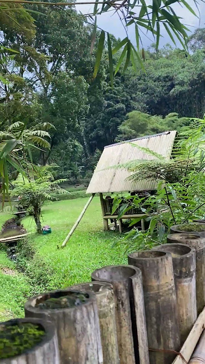 Perbatasan Antara Natura Dan Cakrawala