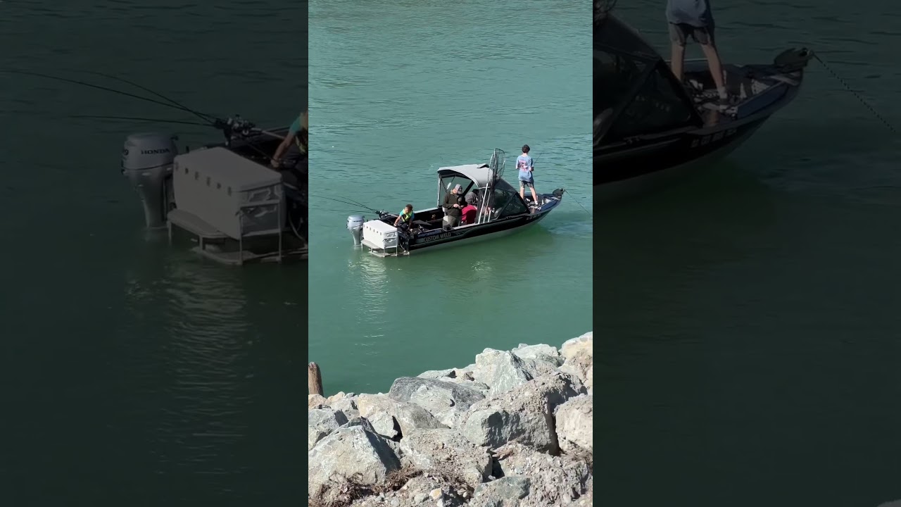 Ловят горбушу на севере штата Вашингтон 