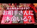 辛口！お相手に本命いる？気持ち/現状【タロット】恋愛、占い、徹底リーディング