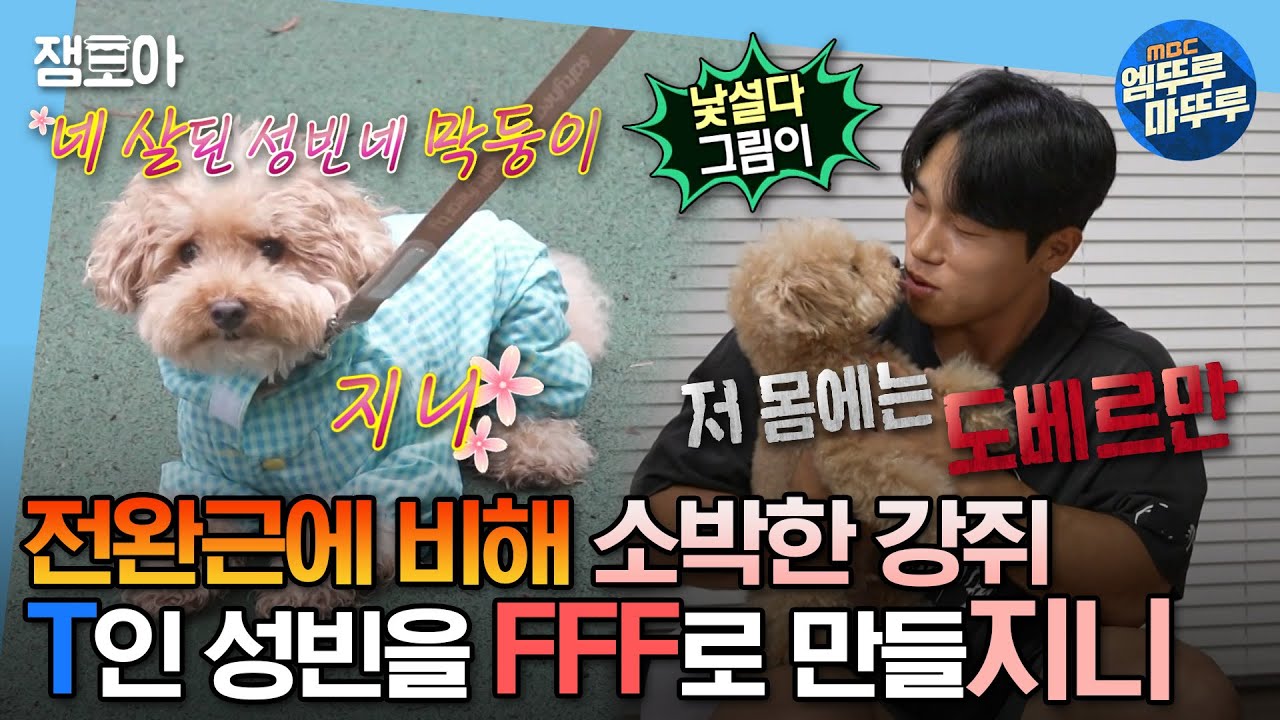 [#나혼자산다] 애지중지 사랑으로 키운 성빈이네 막내 지니를 소개합니다🐶 특기: 길가다 갑자기 멈춰 서기 | #윤성빈 #반려동물 MBC230728방송