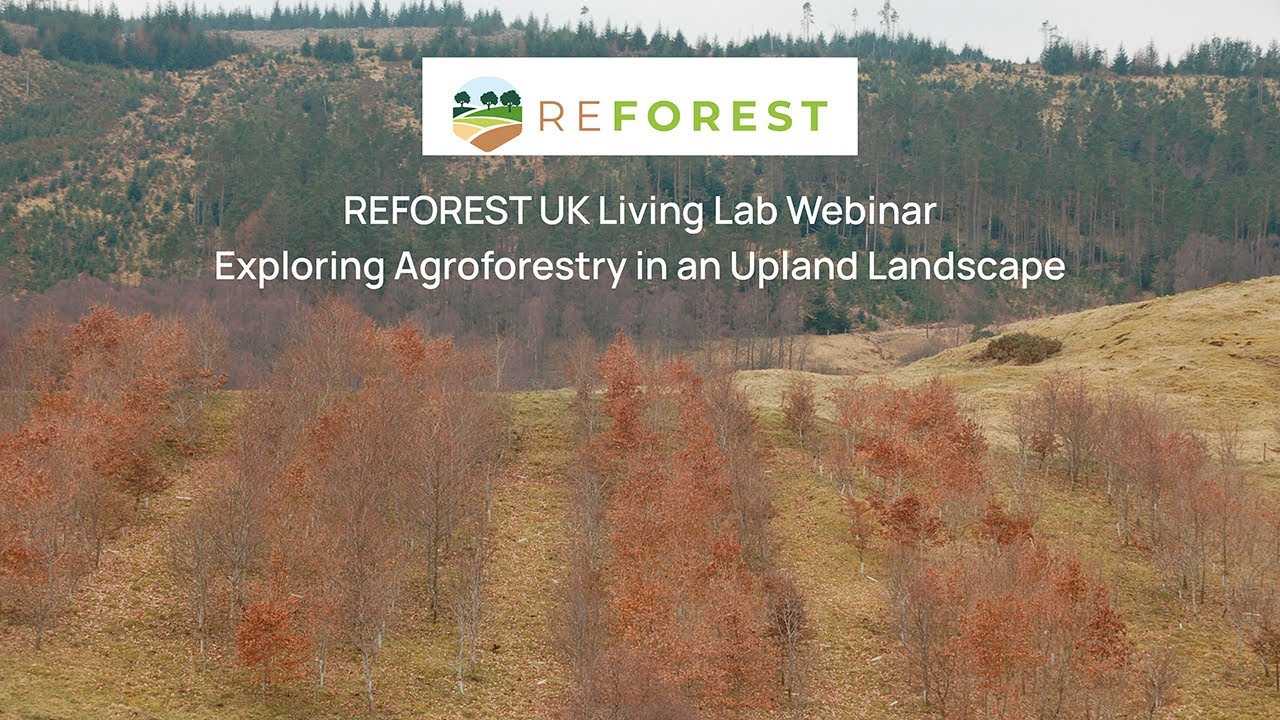 REFOREST UK Living Lab Webinar:   Exploring Agroforestry in an Upland Landscape