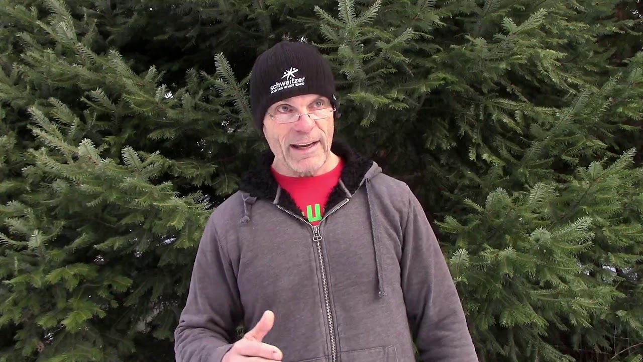 NewYear 2019 Get Movin', be fearless...