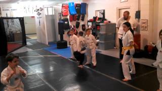 VID_20130423_183520_516.mp4