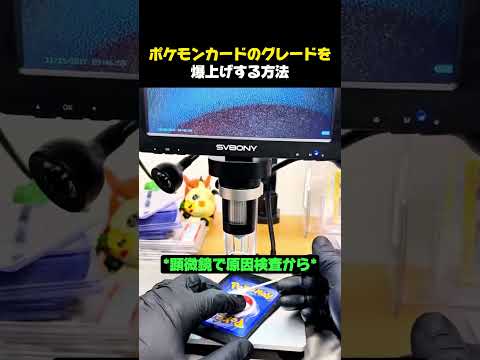 PSAグレードが低くても暴騰する方法 #ポケモン #ポケモンカード