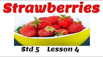 Std 5 Lesson 4 Strawberries poem explanation in English (class 7 std 5th) SSC board