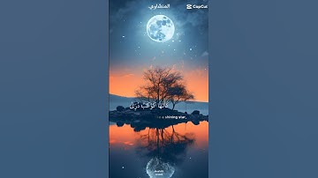 سورة النور #الاية 35#الشيخ المنشاوي#@amy6a