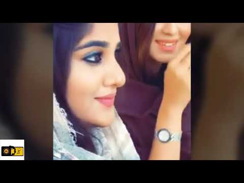 موليا زيد محمدالحسن أبو شفاف بدان 