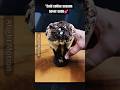 kis kisko pasand hai cold coffee comment mein batao subscribe more recipes #explorepage #viralreel