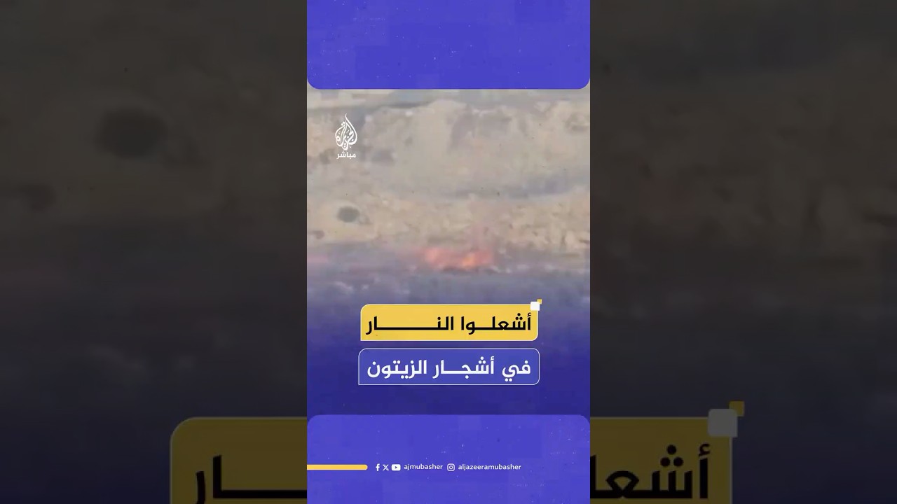 مستوطنون يحرقون أراضي المزارعين وأشجار الزيتون في بلدة ترمسعيا شمال رام الله