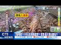 【每日必看】2隻明蝦1100比吃到飽還貴?! 民眾:逼大家出國玩?! 20261005