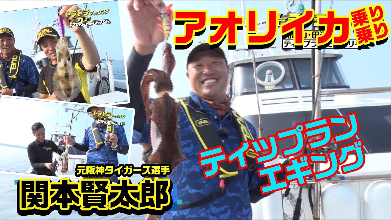 トラトラフィッシング シャクって止めてアタリを取る ティップランエギングでアオリイカget In和歌山 田辺 第31回 17 11 2放送 Youtube