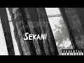 Sekani  like it official lyric