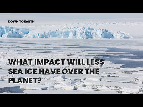 Video: Iznīcināšanai ledus ir arī lielisks?
