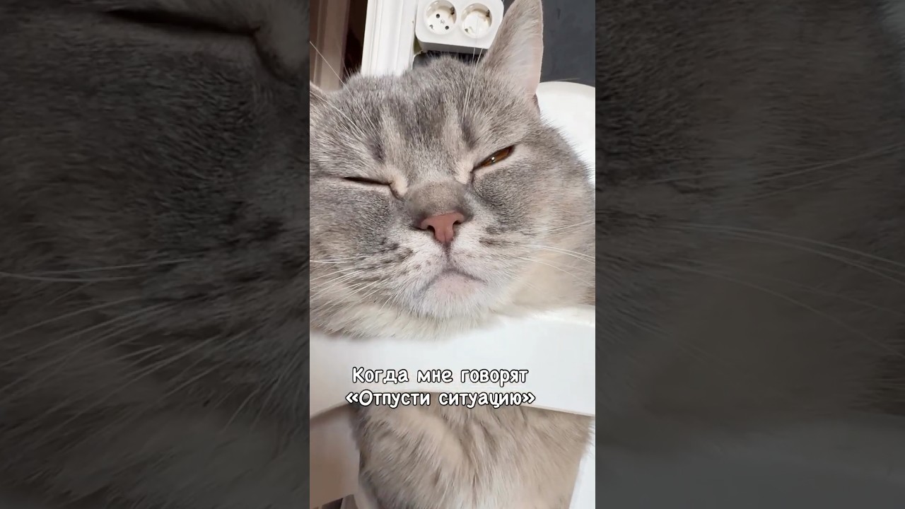 У вас также ?🤡⛳️ 