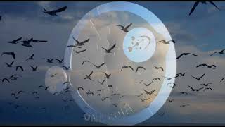 217th Knowledge Seekers Workshop March 29 2018