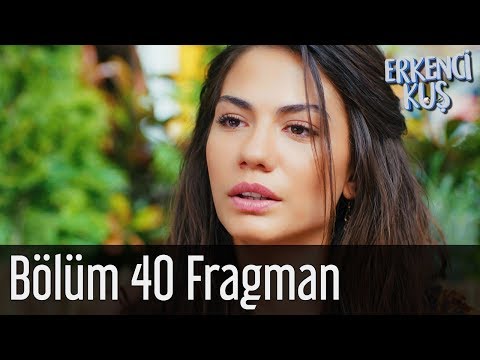 ნაადრევი ფრინველი 40 სერია (ქართულად)