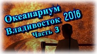 Океанариум Владивосток Часть 3 Остров Русский 2016 самый большой мире видео открытие для детей(ВК: https://vk.com/alenushkatv Подписывайтесь на канал Алёнушка ТВ: https://www.youtube.com/channel/UCyht8eZIFQVy_RrkIIqg8bw Все наши видео: ..., 2016-10-25T03:32:39.000Z)