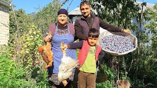 Best Village Recipe EVER? Plum Sour and Chicken with Eggs and Veggies!