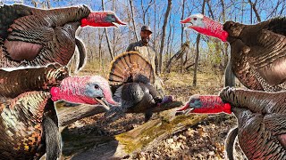 WE HIT THE MOTHER LODE!!! Surrounded by Gobblers! - Calling All Turkeys