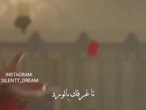 قومي ارقصيلي بعد حالات واتس اب تجنن ساركان وايدا