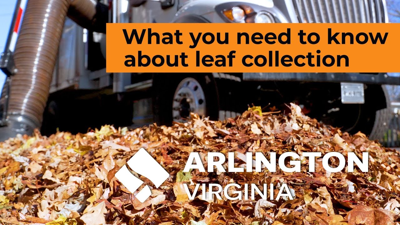 Year-Round Yard Waste – Official Website of Arlington County