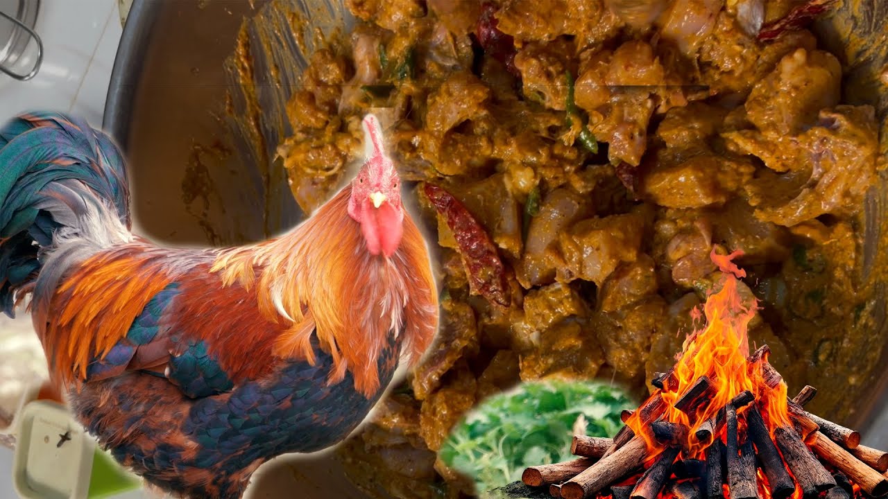 Chicken Barbeque with Friends at Lonavala | Hills, Fire & Fun 🍗🔥