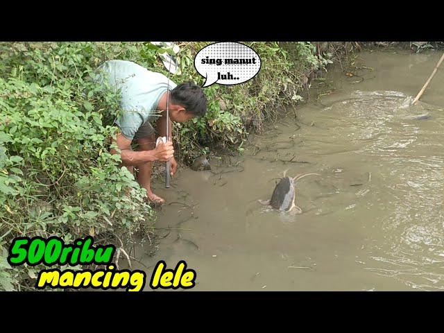 YA AMPUN..! Mancing ikan lele diluar dugaan class=